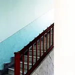 Beautiful House